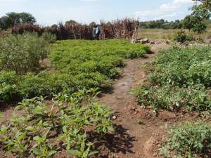 Peasant farmers in Northern Ghana making use of variations in soil conditions