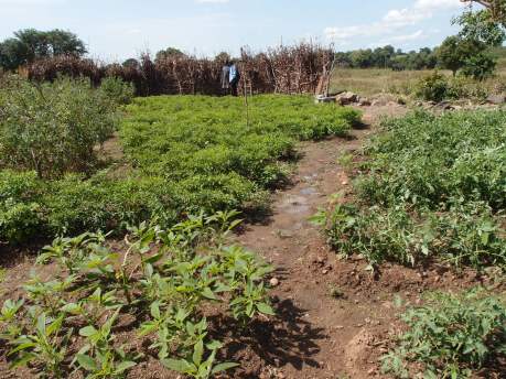 Peasant farmers in Northern Ghana making use of variations in soil conditions