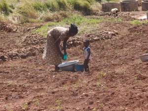 Farming in the dusty soils of semi-arid Northern Ghana