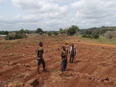 Farmers prepare the land to plant vegetables after their cereal crop of millet failed due to drought.